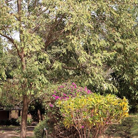 Yuna Village Garden Resort Tubaya Ngoại thất bức ảnh